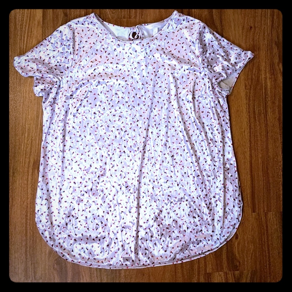 Velvet short sleeved floral top